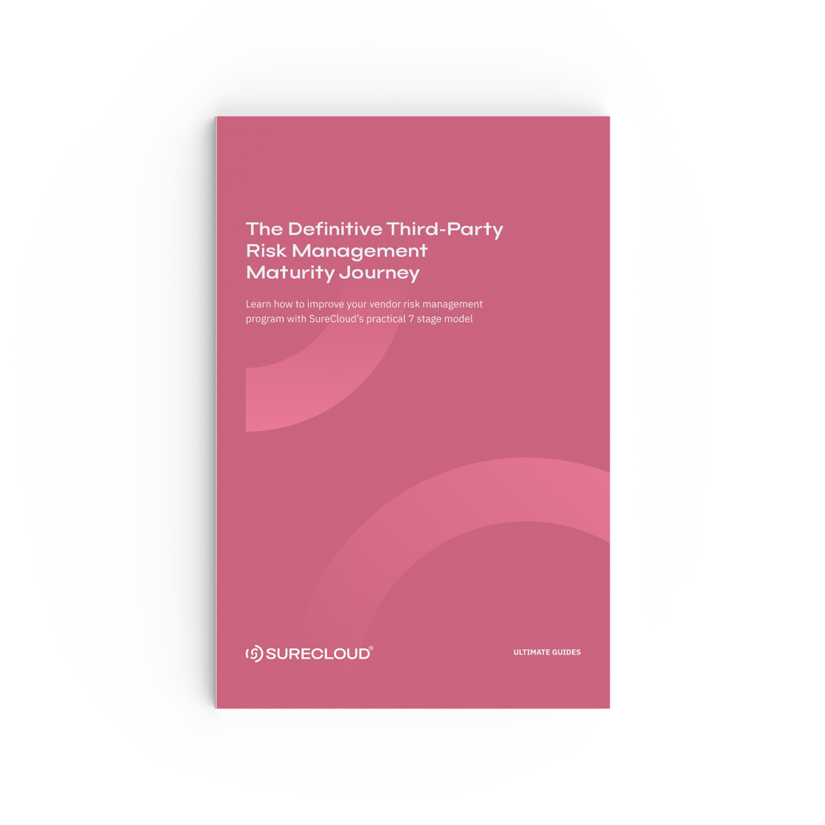 The Definitive Third-Party Risk Management Maturity Journey_1200x1200.png.png